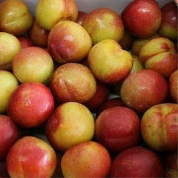 ���콺�� Ŭ���Ͻø� �����̹����� ���Ǽ� �ֽ��ϴ�.