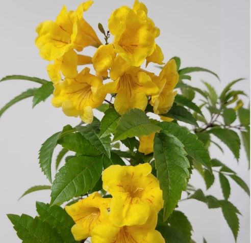 ���콺�� Ŭ���Ͻø� �����̹����� ���Ǽ� �ֽ��ϴ�.