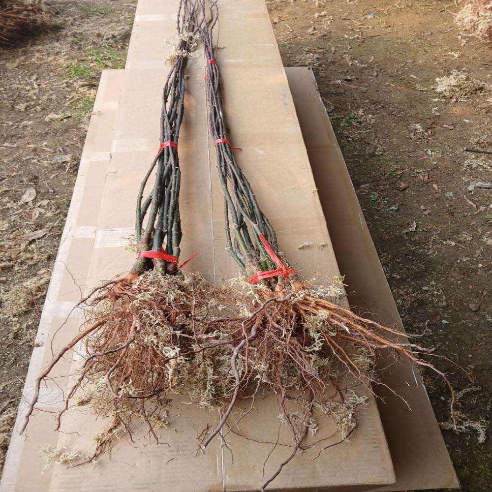 ���콺�� Ŭ���Ͻø� �����̹����� ���Ǽ� �ֽ��ϴ�.