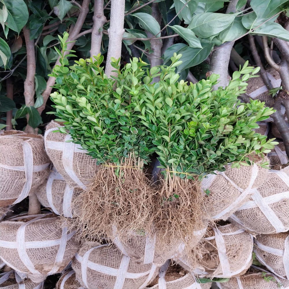 콺 ŬϽø ̹ Ǽ ֽϴ.