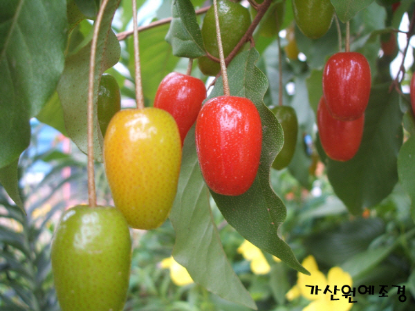 콺 ŬϽø ̹ Ǽ ֽϴ.