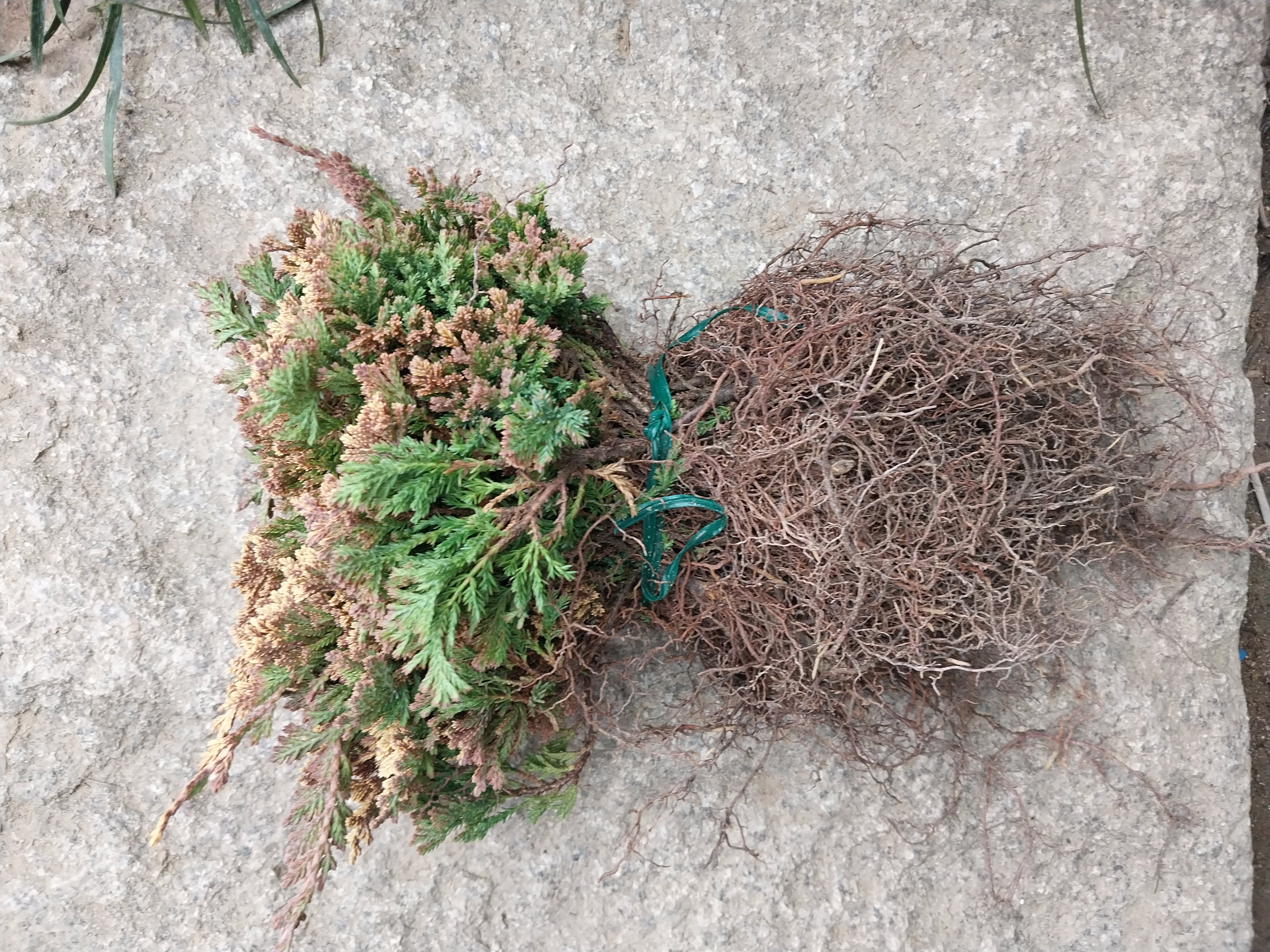 ���콺�� Ŭ���Ͻø� �����̹����� ���Ǽ� �ֽ��ϴ�.