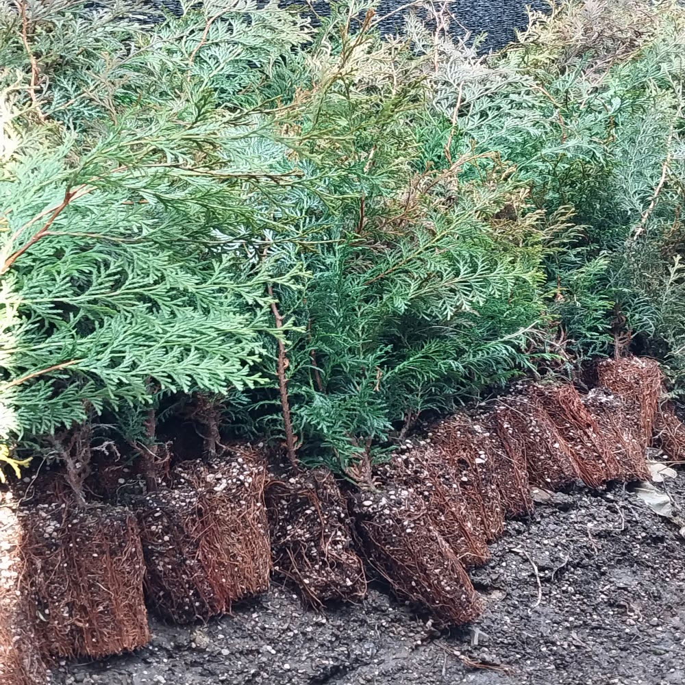 ���콺�� Ŭ���Ͻø� �����̹����� ���Ǽ� �ֽ��ϴ�.