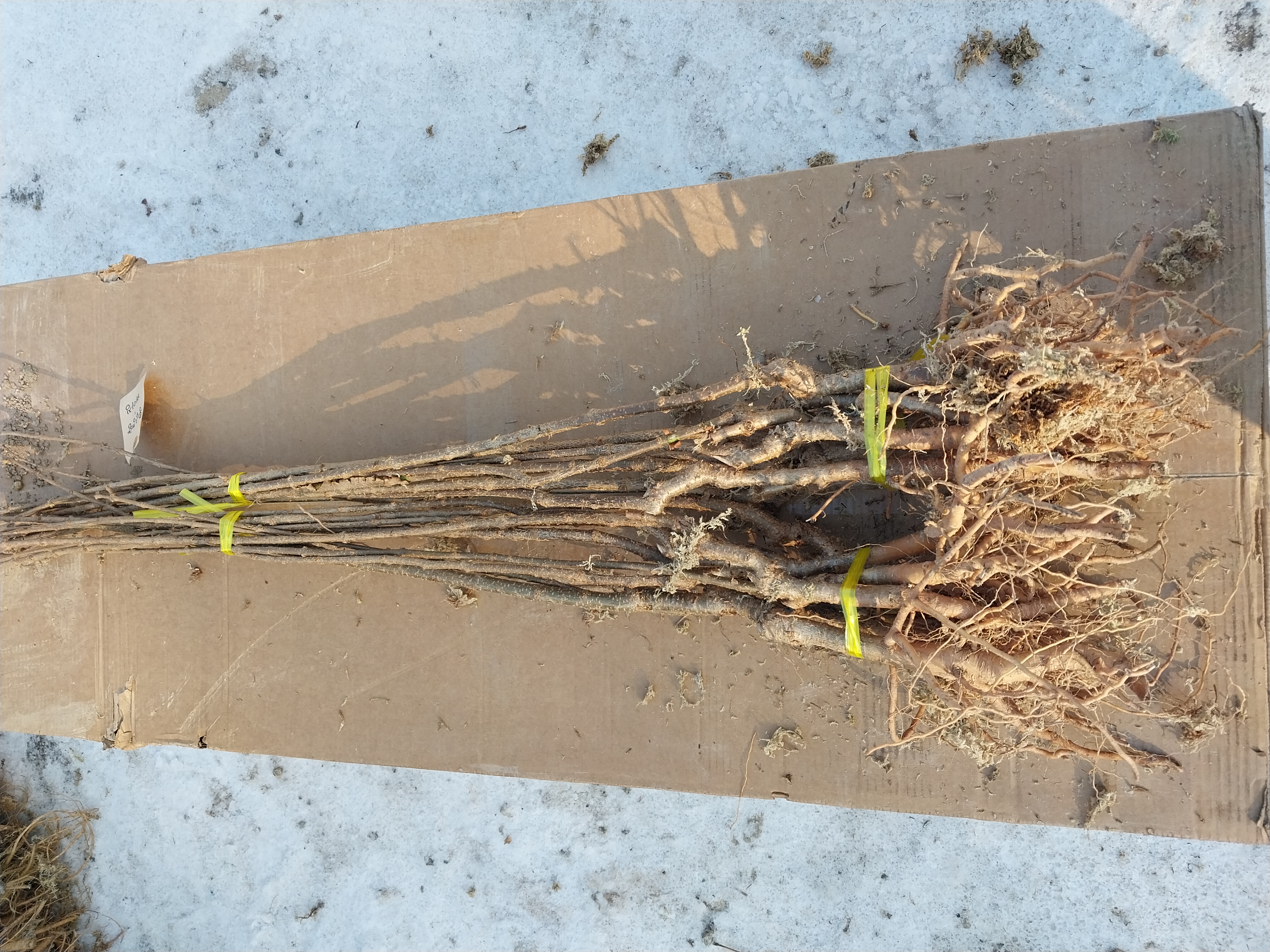 ���콺�� Ŭ���Ͻø� �����̹����� ���Ǽ� �ֽ��ϴ�.