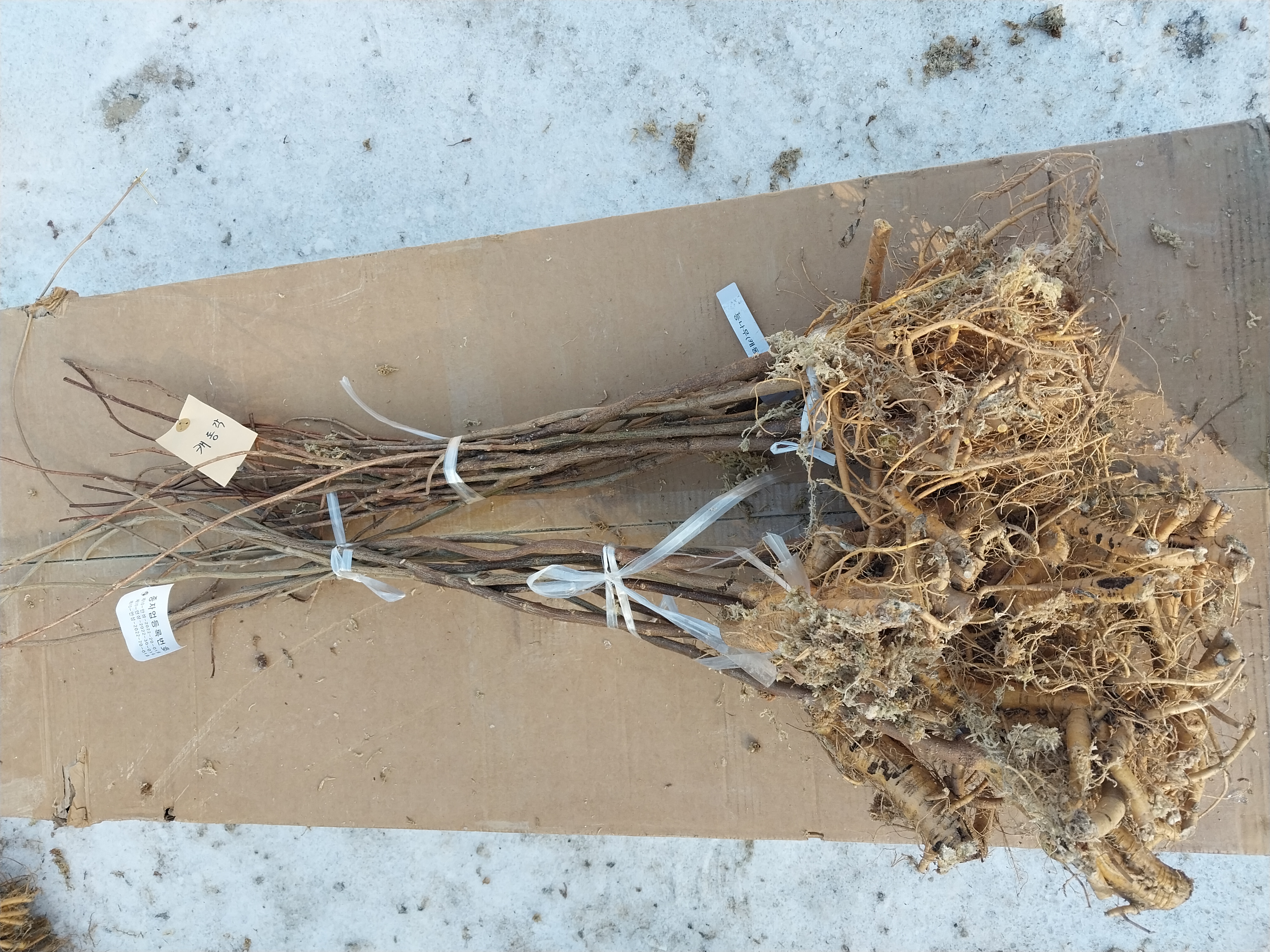 ���콺�� Ŭ���Ͻø� �����̹����� ���Ǽ� �ֽ��ϴ�.