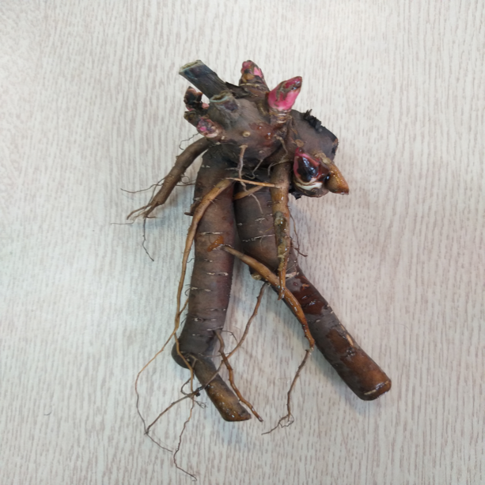 ���콺�� Ŭ���Ͻø� �����̹����� ���Ǽ� �ֽ��ϴ�.