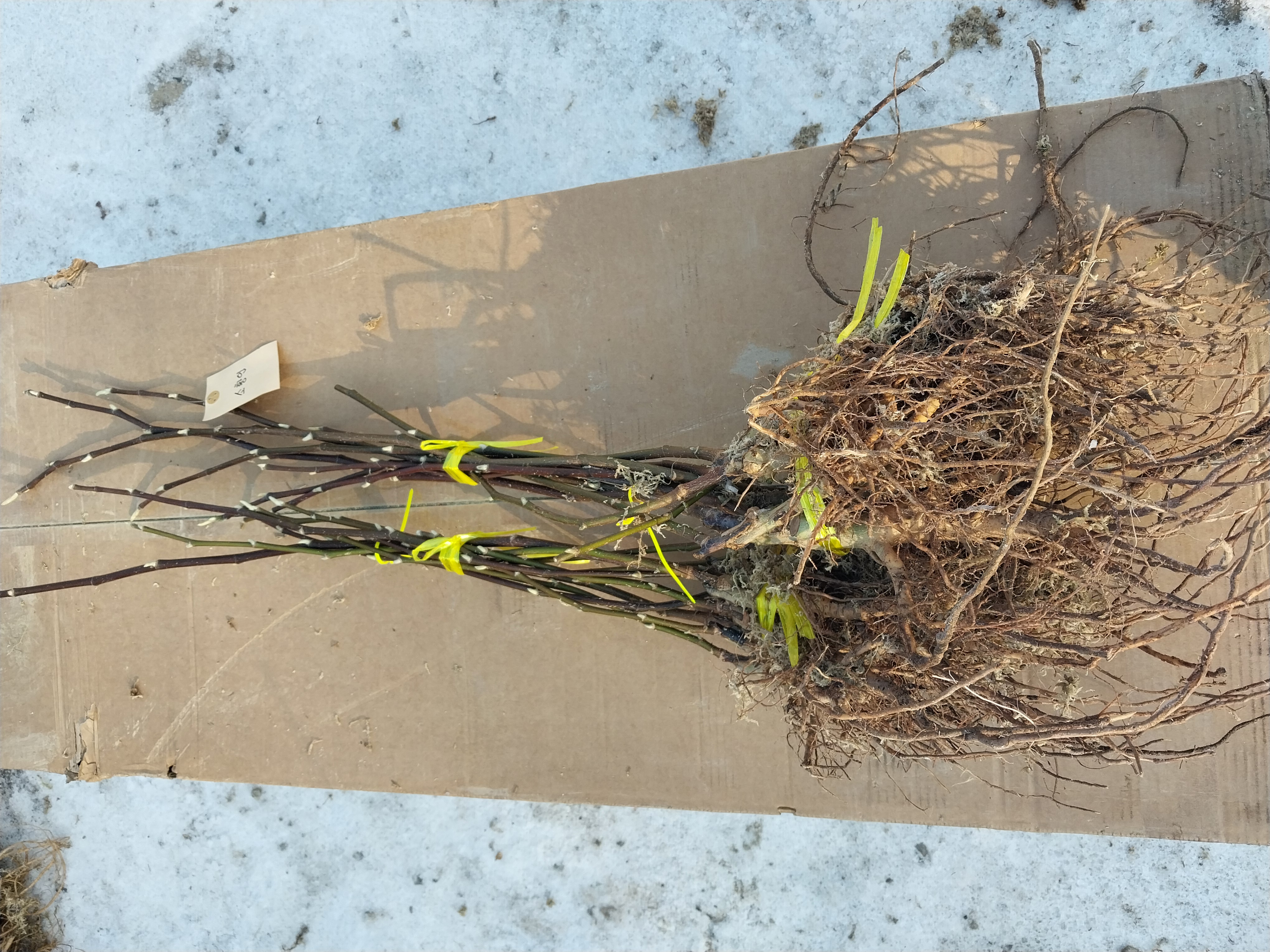 ���콺�� Ŭ���Ͻø� �����̹����� ���Ǽ� �ֽ��ϴ�.