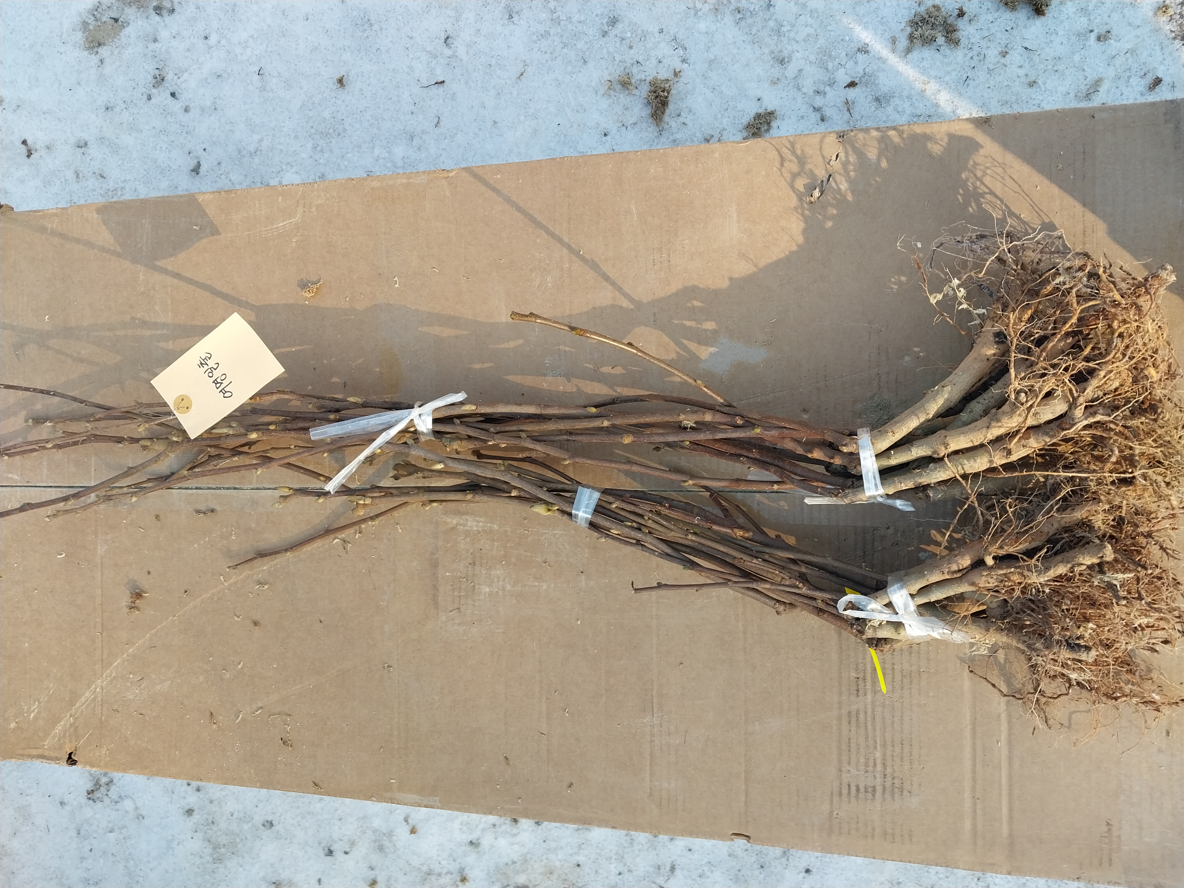 ���콺�� Ŭ���Ͻø� �����̹����� ���Ǽ� �ֽ��ϴ�.