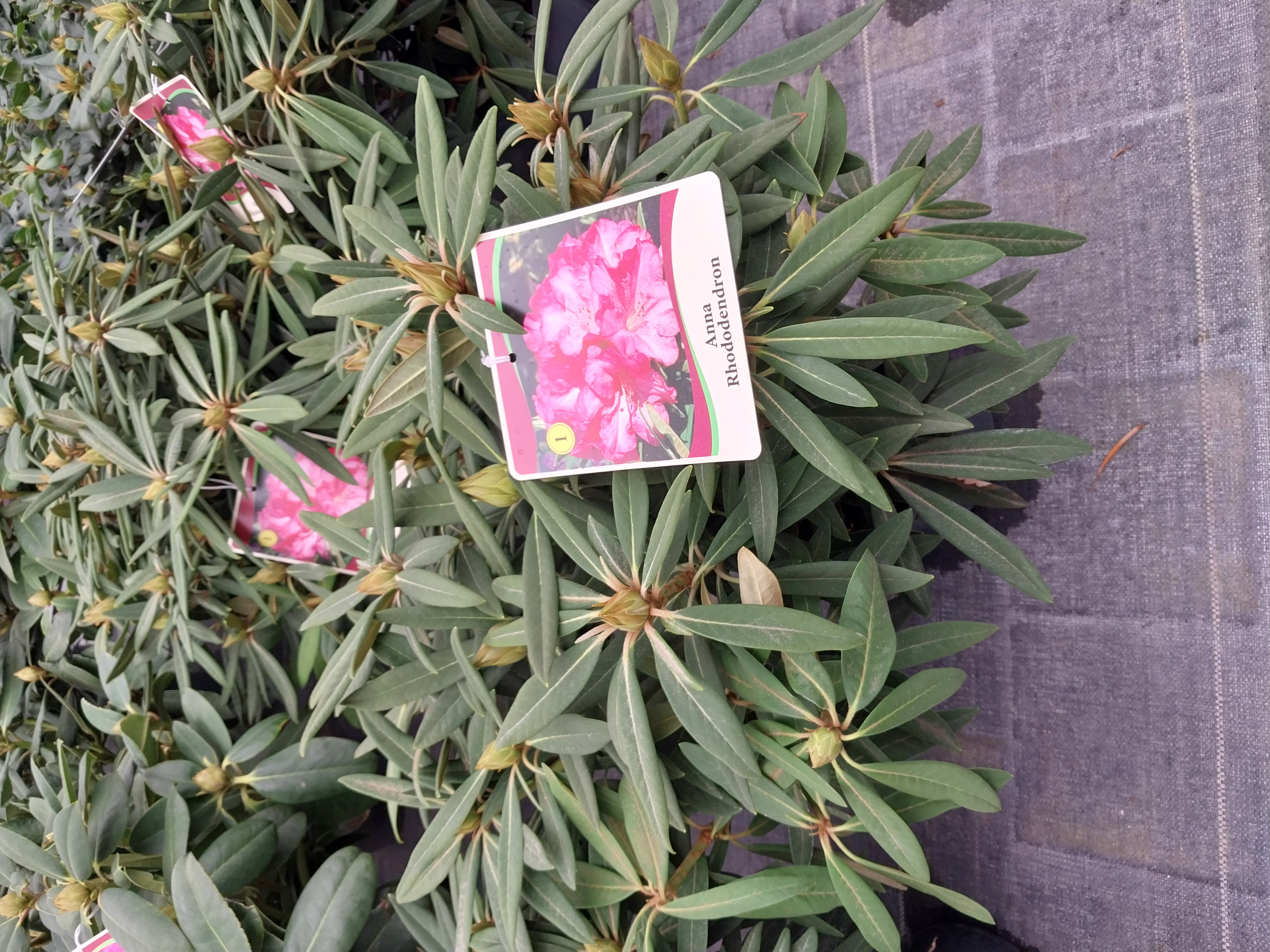 ���콺�� Ŭ���Ͻø� �����̹����� ���Ǽ� �ֽ��ϴ�.